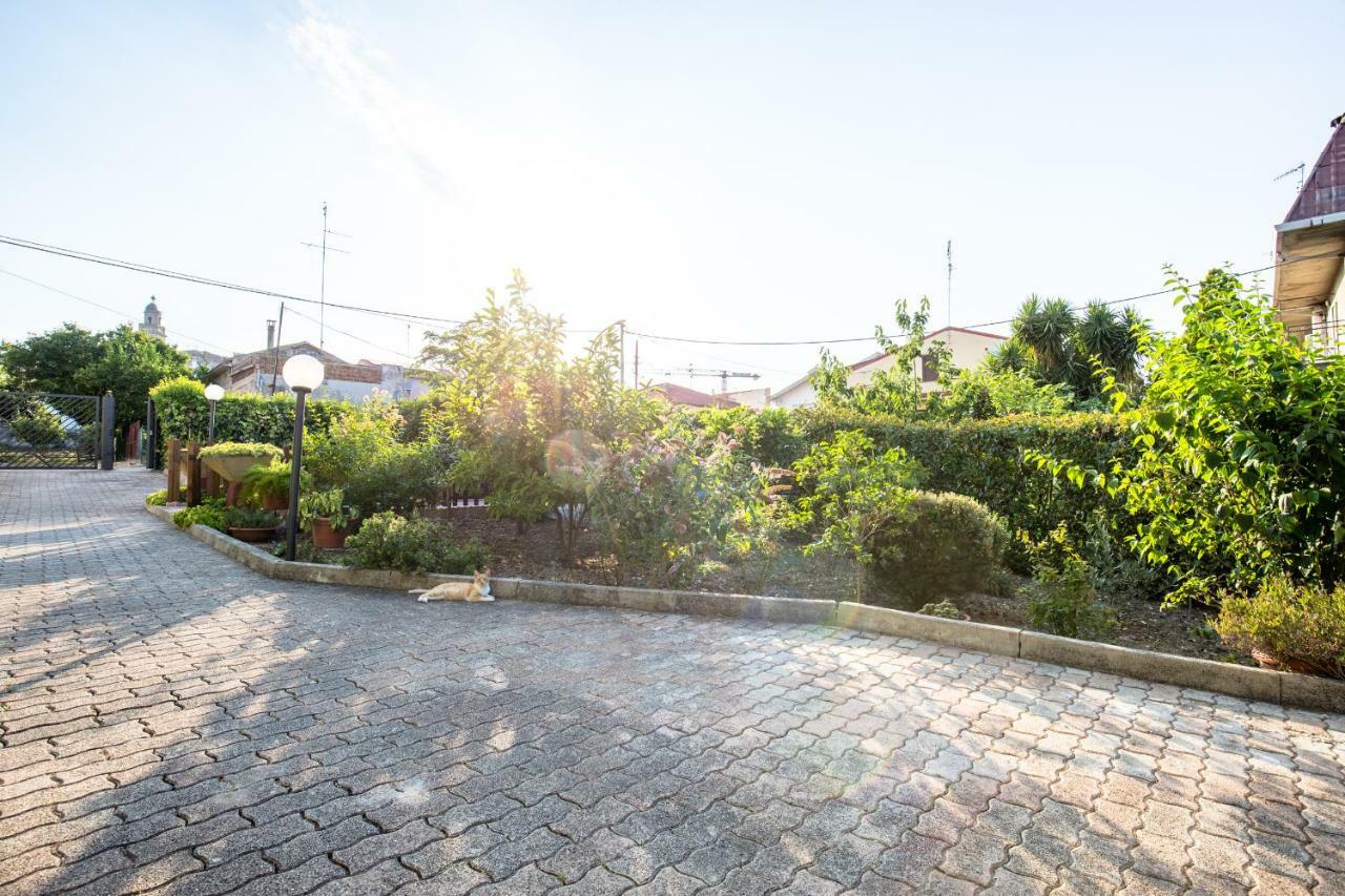 Selene Beb Bed and Breakfast Casalbordino Εξωτερικό φωτογραφία